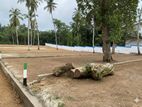 Land For Sale In Panadura