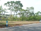 Land Near To Dodangoda Junction