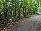 Land Near to Hikkaduwa for Sale