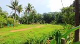 Land Near Upcoming Highway - Veyangoda
