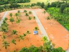 Land - Negambo