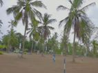 Land Negombo