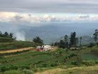 Land - Nuwaraeliya