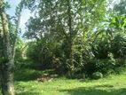 Land of 4 Acres for Sale with a House - Udumulla