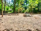 Land of 40P for Sale Near Katunayake International Airport