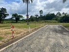 Land of Sale Colombo Road Pothuhara