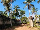 Land Of Sale In Minuwangoda