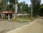 Land of Sale Thennekubura Road Kandy
