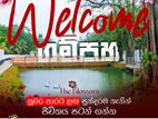 land of seal in belummahara