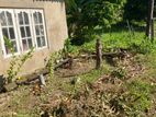 Land for Sale Kerawalapitiya