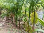 Land or Sale Monaragala