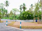 Land plot foe sale in Thalawathigoda