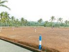 Land Plot for Sale in Hikkaduwa 10p
