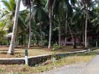 Land Plot for Sale in Horana