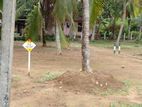 Land Plot for Sale in Horana