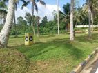 Land Plot for Sale in Kiriwaththuduwa