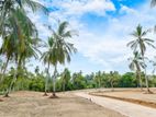 Land Plot for Sale in Kurunagala