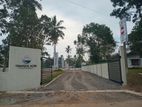 Land Plot in Pannipitiya Palanwaththa P32