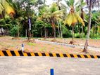 Land Plot Sale in Talawatugoda