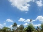 Land plots at Vitharsnaddniya