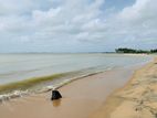 Land Plots -Beach Facing Lands