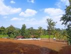 Land Plots Facing beautiful Paddy field L08