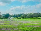 Land Plots Facing Beautiful Paddy Field L08 Kuliyapitiya