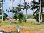 Land Plots For Sale Beruketiya Homagama