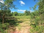 Land Plots for Sale – Colombo–Kataragama Main Road.