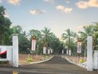 Land Plots For Sale In Batagama Road Kandana Sebastian's Garden