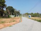 Land Plots For Sale in Benthara Elakaka