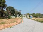 Land Plots For Sale in Benthara , Elakaka