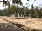 Land Plots For Sale in Benthara