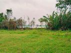 Land Plots for Sale in Bolgoda