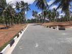 Land Plots For Sale In Dambadaniya Kurunegala 5 Road Facing