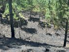 Land plots for sale in Ella