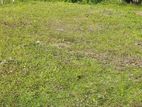 Land Plots For Sale in Homagama