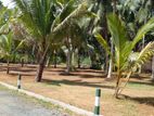 Land plots for Sale in Horana