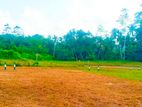 Land Plots for Sale in Kaduwela Nawagamuva