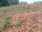 Land Plots for Sale in Kuruwita, Walandura