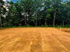 Land Plots For Sale In Nawagamuwa