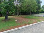 Land plots for sale in Nawala Koswatta