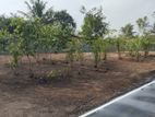 Land plots for sale in Piliyalnada Kotagedara