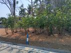 Land Plots for Sale in Piliyandala