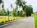 Land Plots for Sale in Pinnawala Padukka