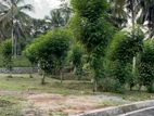 Land Plots for Sale in Thalagala