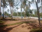 Land Plots for Sale in Thalawathugoda