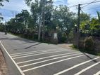Land Plots for Sale in Thalawathugoda