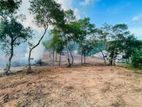 Land Plots For Sale Near Hiriketiya Beach