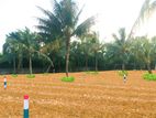 Land Plots for Sale Panadura